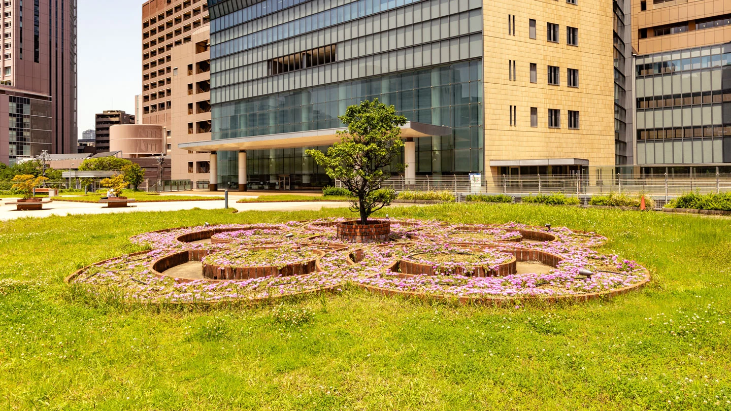 Garden of Knowledge and Healing