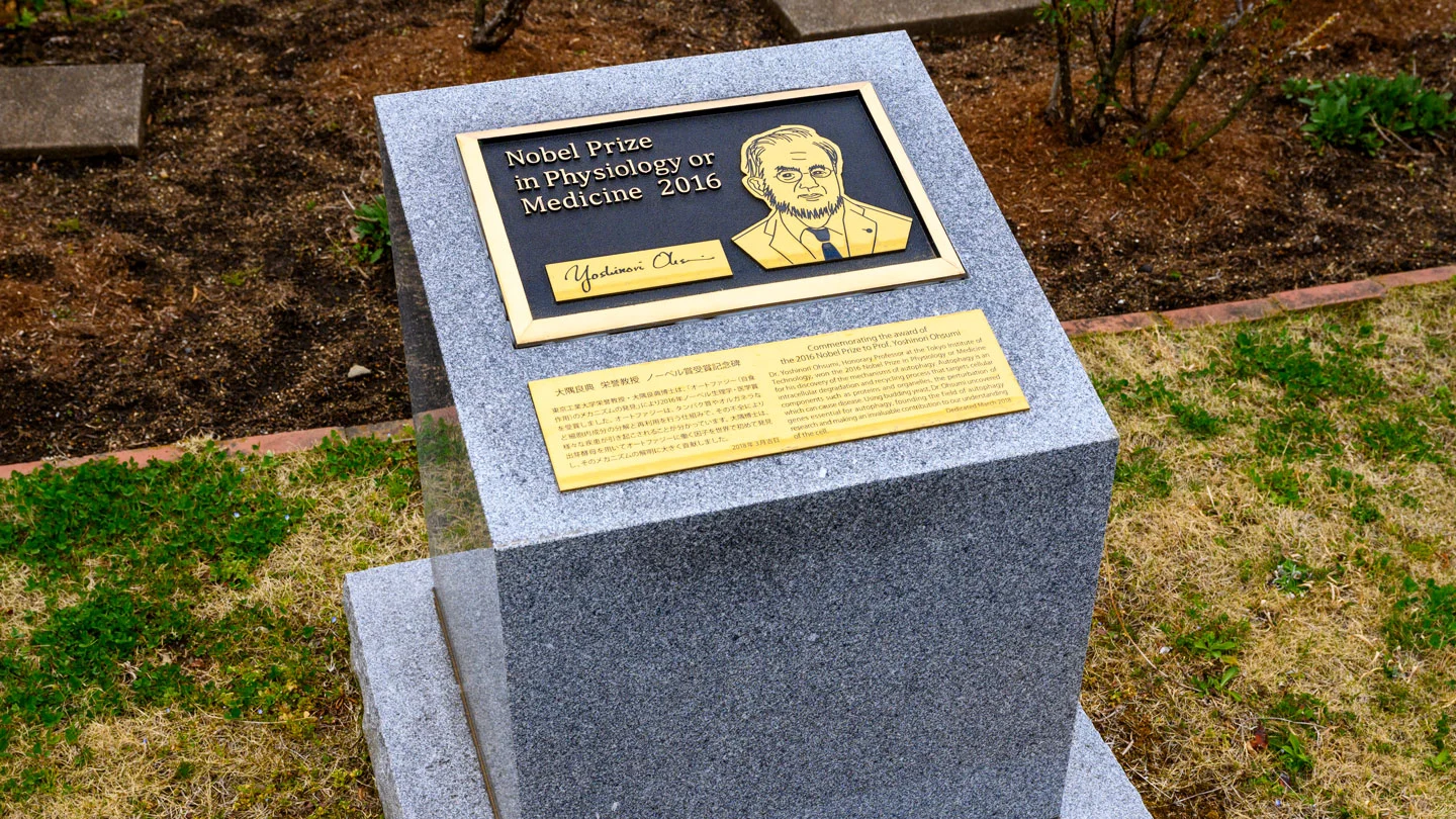 Monument commemorating Nobel laureate Yoshinori Ohsumi