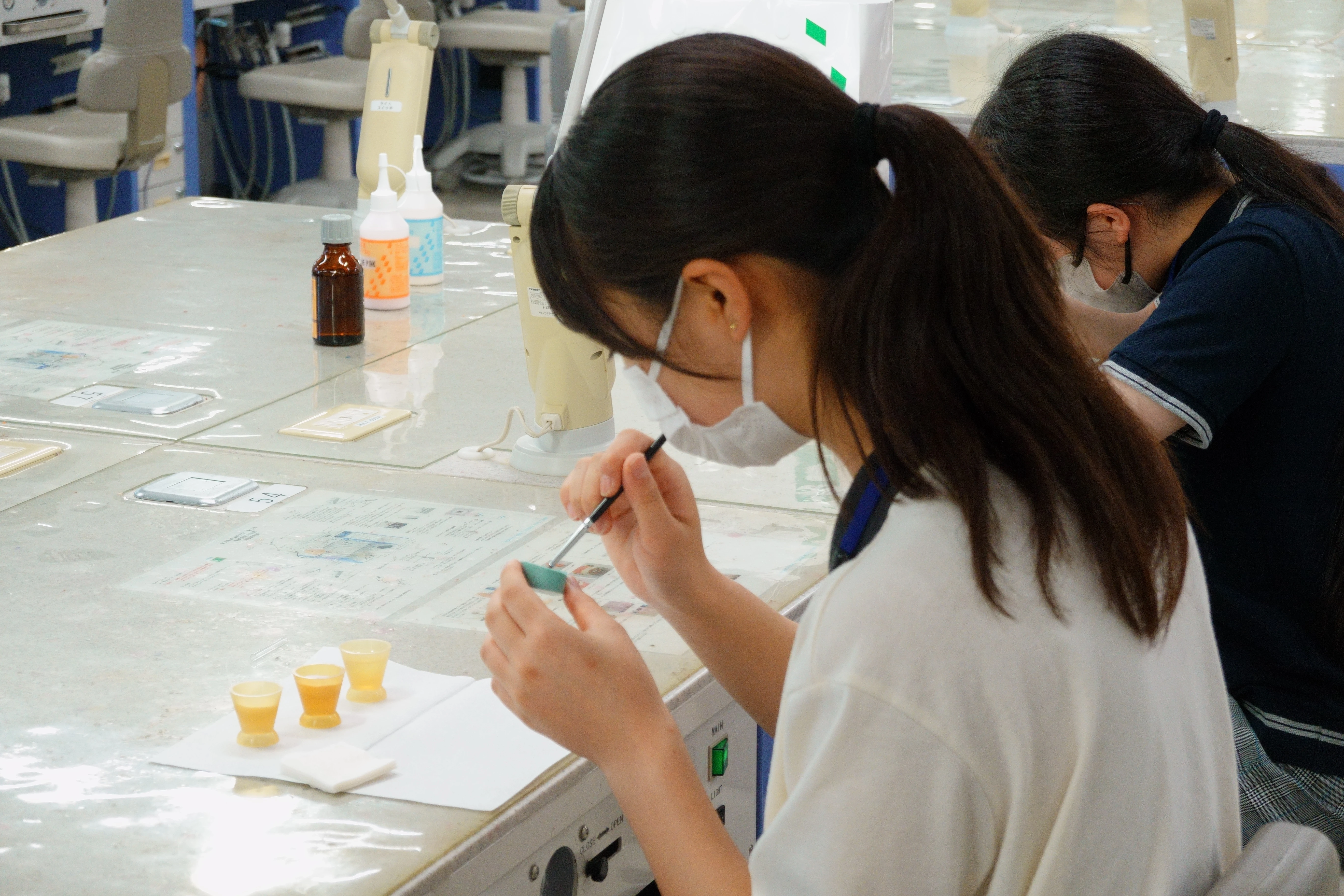 Science Tokyoとなって初の歯学部サマープログラム