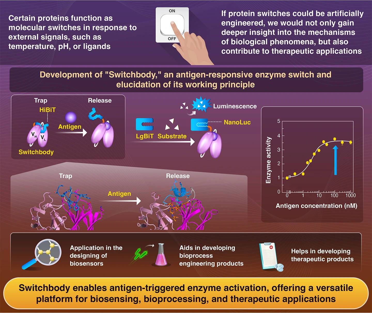Switchbody enables antigen-triggered enzyme activation, offering a versatile platform for biosensing, bioprocessing, and therapeutic applications