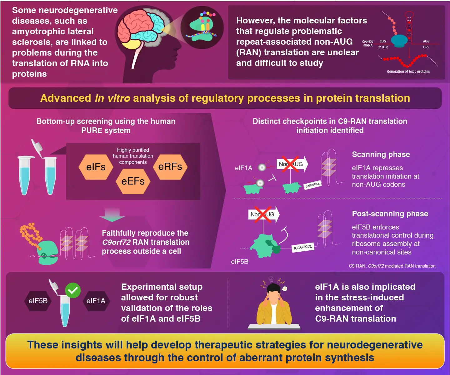 Canonical translation factors eIF1A and eIF5B modulate the initiation step of repeat-associated non-AUG translation