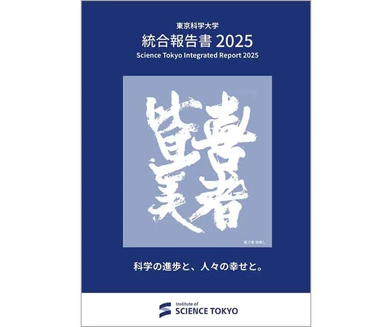 Integrated report 2025