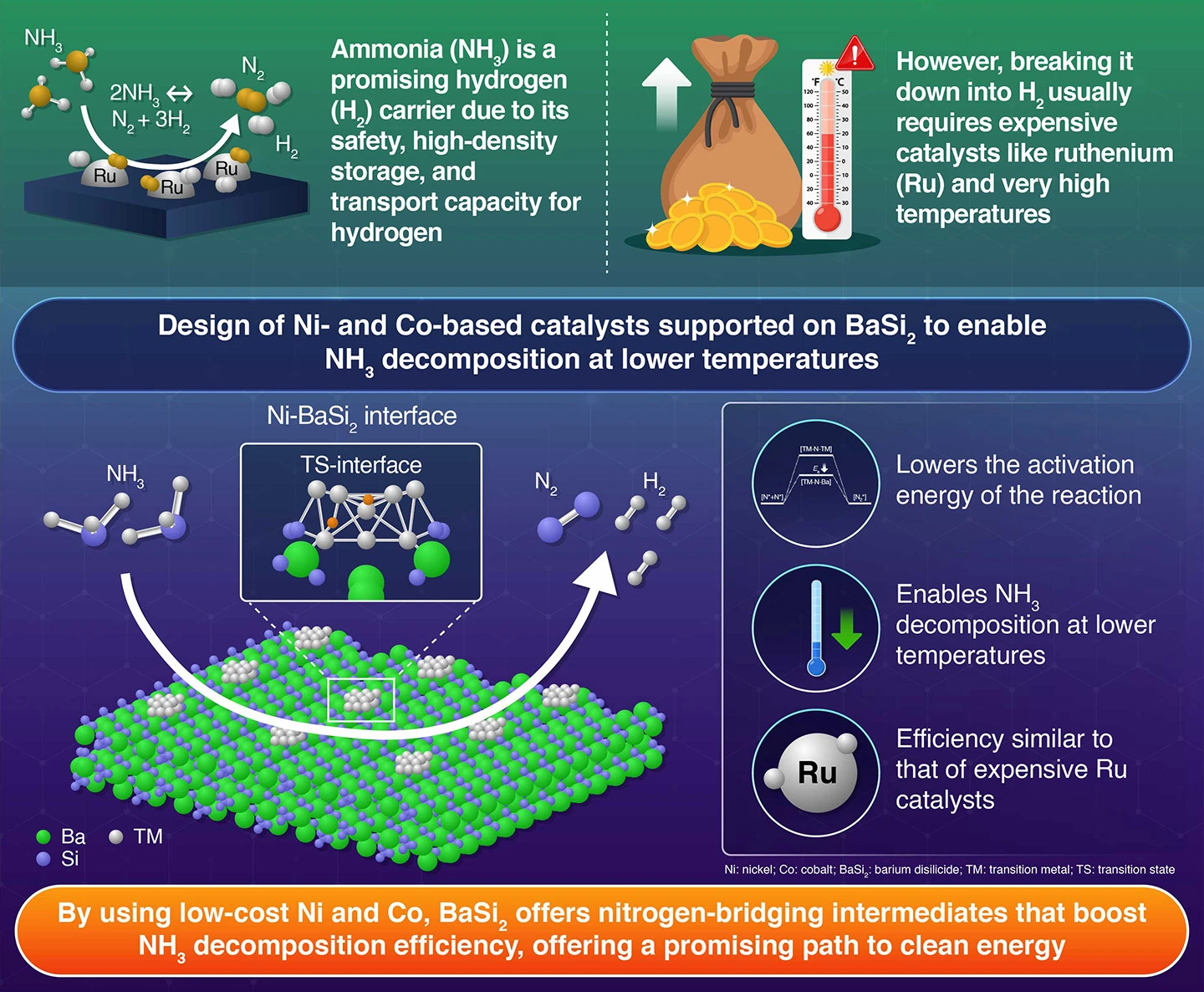 Ammonia Decomposition Promoted by the Formation of Ternary Transition Metal Nitride Intermediates: Ni (Co)-Loaded BaSi2