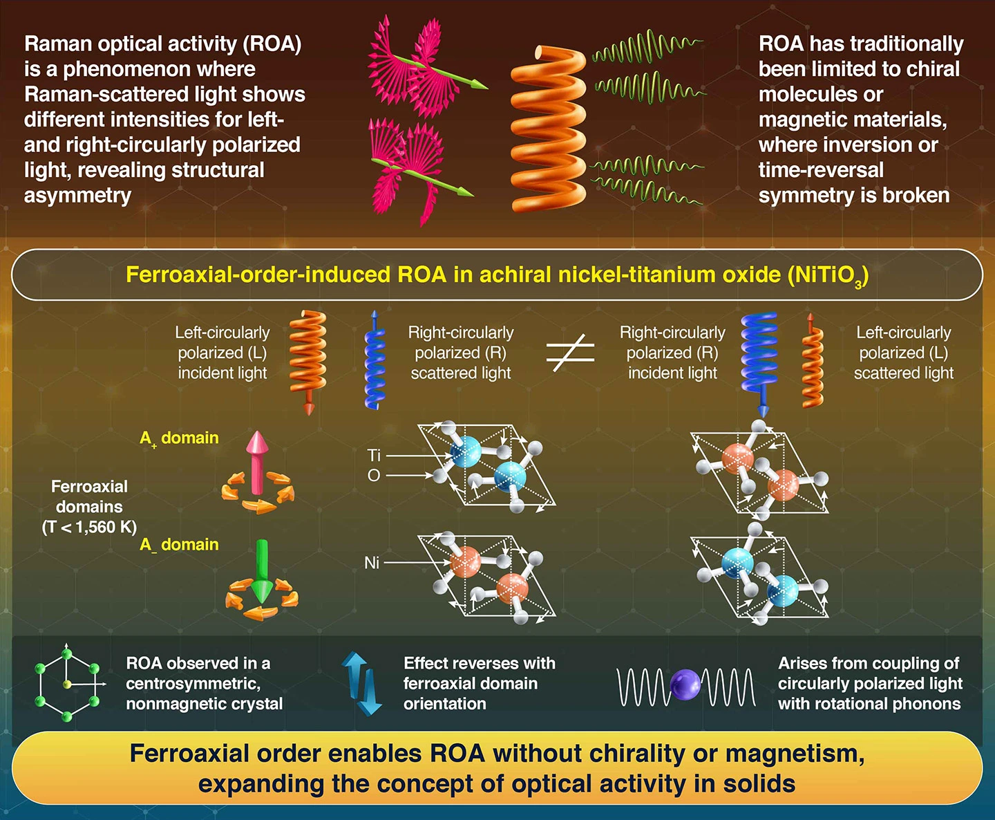 Raman Optical Activity Induced by Ferroaxial Order in NiTiO3