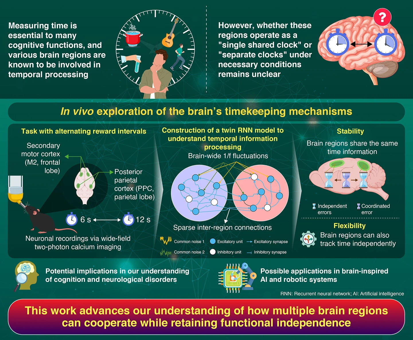 Independence and coherence in temporal sequence computation across the fronto-parietal network