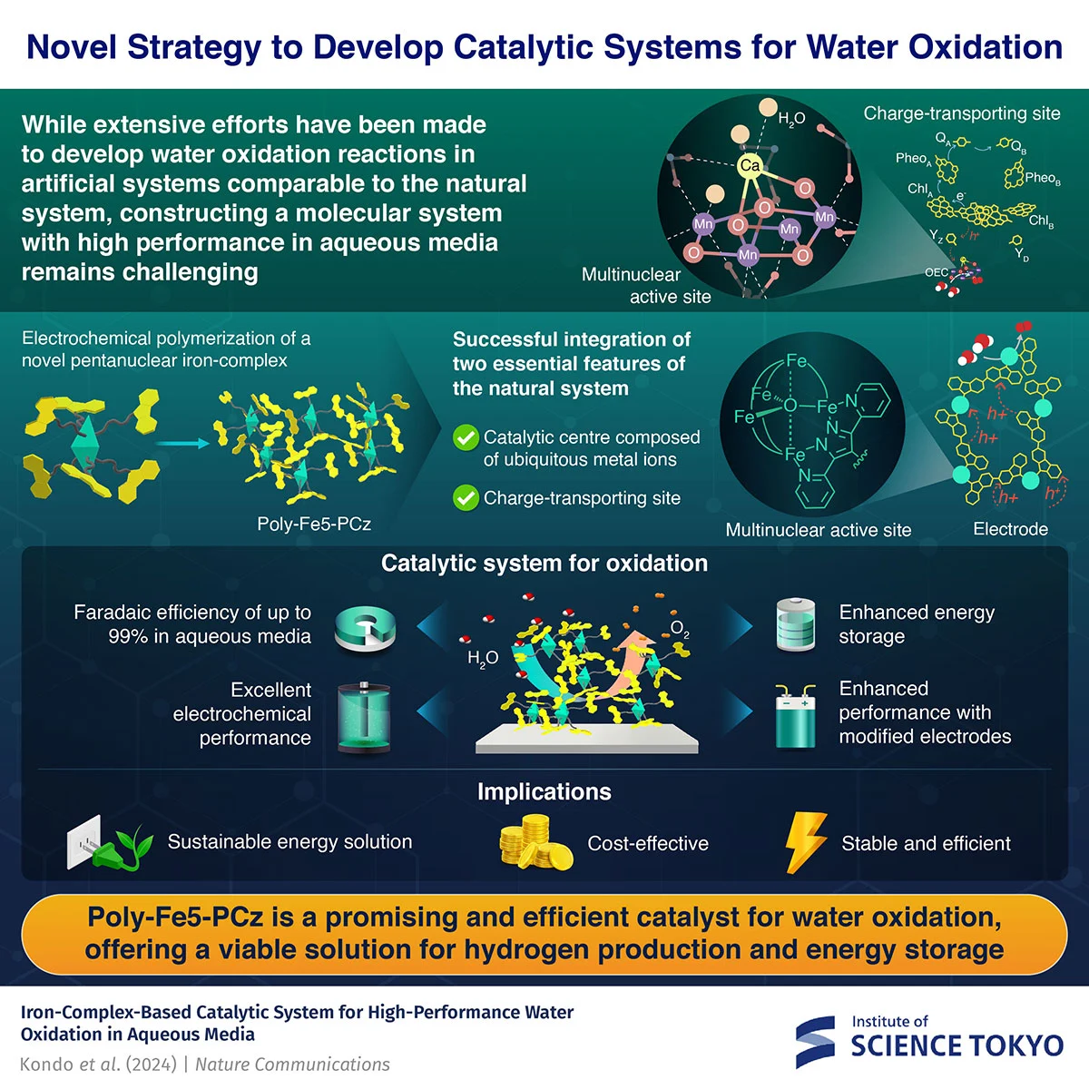 A Sustainable Iron Catalyst for Water Oxidation in Renewable Energy